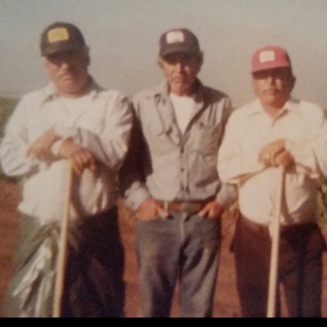 Ramiro Robles and friends working in the fields in the U.S.A.